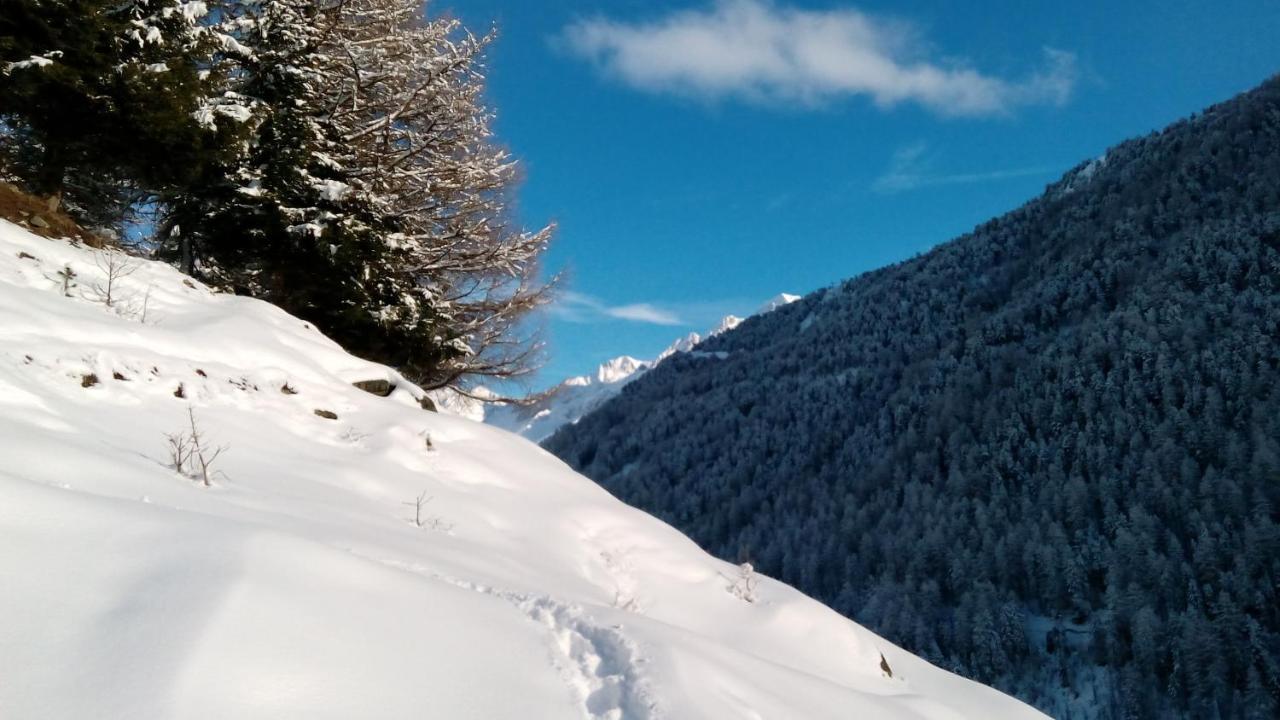 Beim Gruber Daire Melago Dış mekan fotoğraf